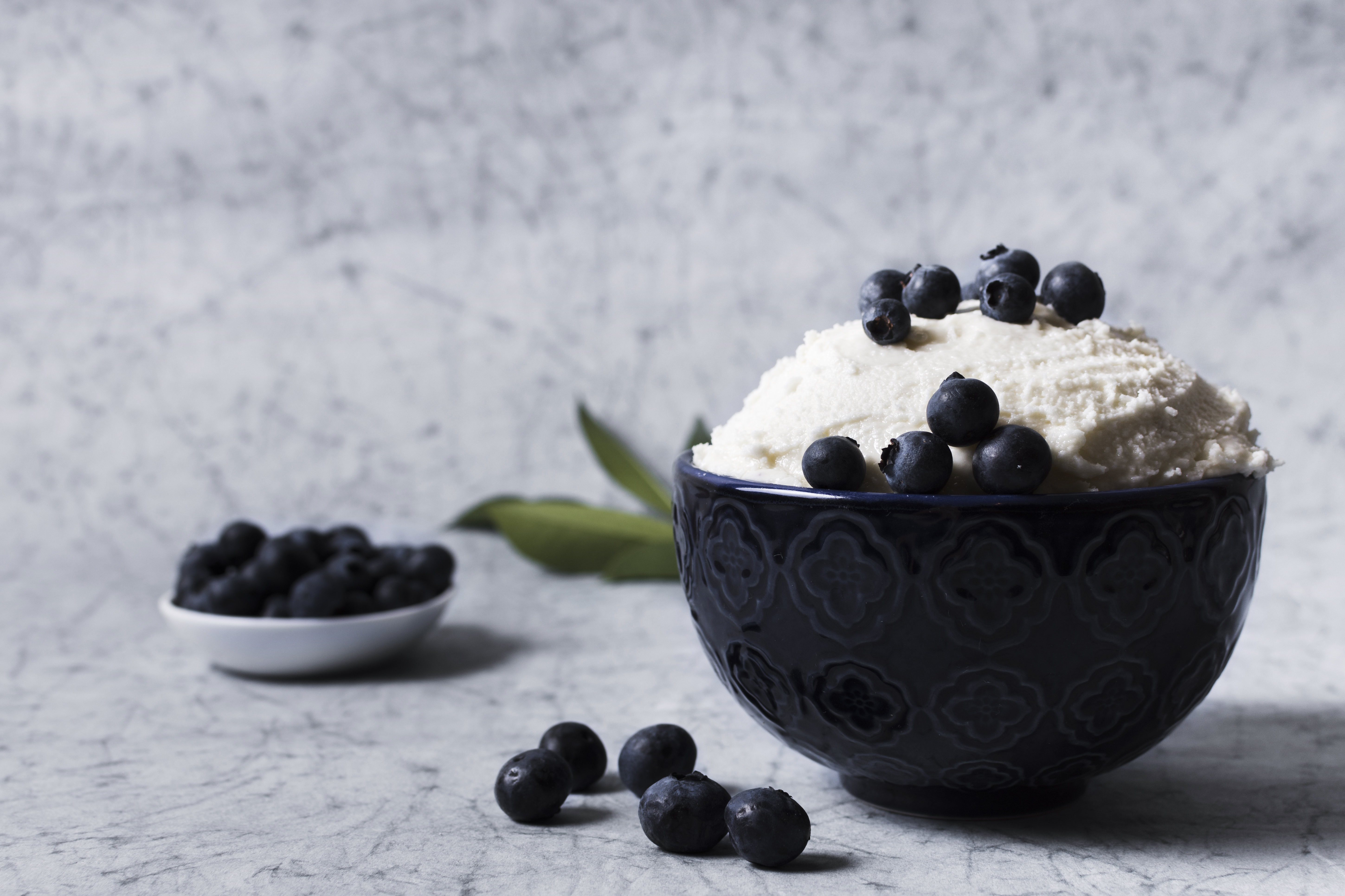 Premium Yogurt